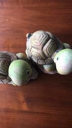 Schildpad, Ophalen of Verzenden, Overige materialen