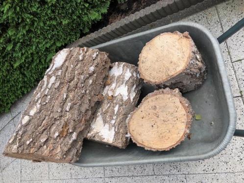 Te koop open haard hout, Tuin en Terras, Haardhout, Stammen, Minder dan 3 m³, Ophalen