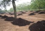 zwarte grond / tuingrond / zwart zand Gratis brengen, Ophalen, Tuinaarde