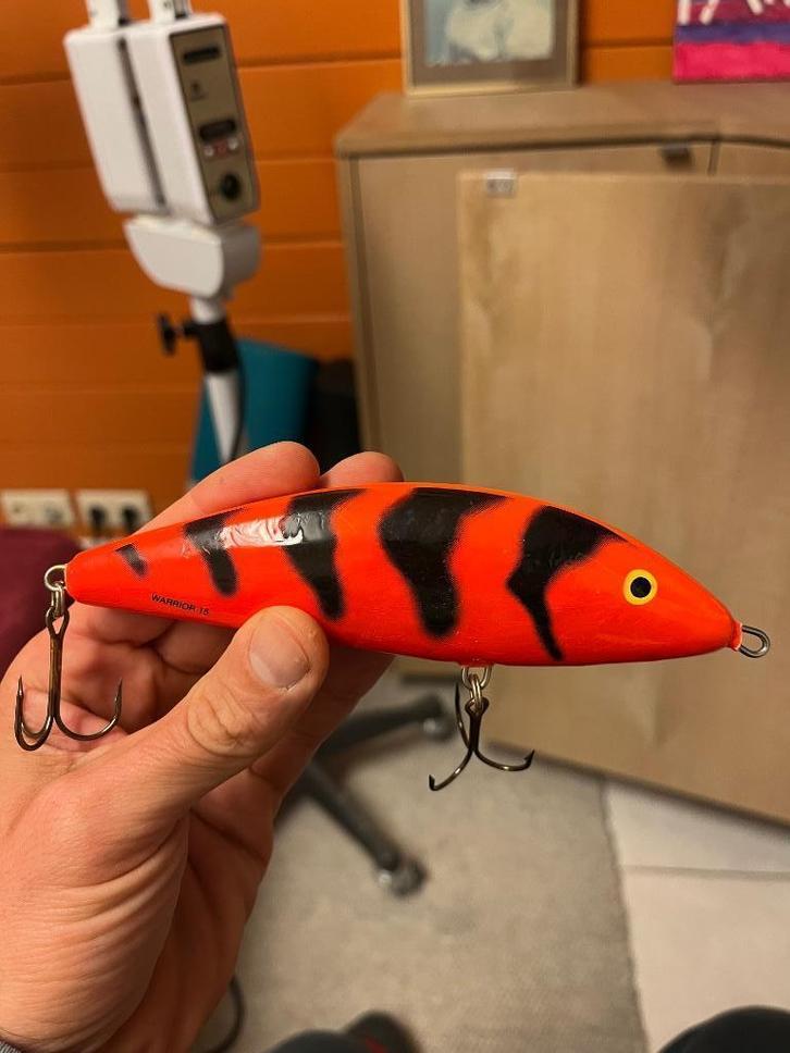 Gezocht: Salmo Warrior slow sink, Watersport en Boten, Hengelsport | Roofvissen, Zo goed als nieuw, Overige typen, Ophalen of Verzenden