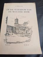In de schaduw van de wouwse dom, Ophalen of Verzenden, Zo goed als nieuw