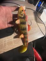 Vis spullen, Ophalen of Verzenden, Zo goed als nieuw, Overige typen