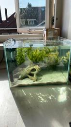 Aquarium met verwarming en ornament, Dieren en Toebehoren, Vissen | Aquaria en Toebehoren, Zo goed als nieuw, Ophalen, Leeg aquarium
