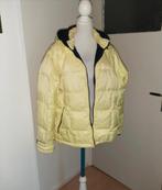 mooie Gaastra dons ski jas, Gaastra, Overige kleuren, Maat 48/50 (M), Ophalen of Verzenden