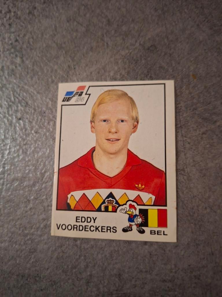 Panini sticker Euro 84 France. Eddy Voordeckers België., Verzenden, Zo goed als nieuw, Sticker