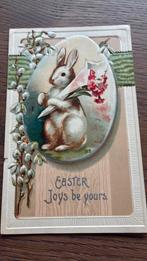 Paasvreugde. Konijn met katjes. Reliëfkaart.1910, Ophalen of Verzenden, Voor 1920, Overige thema's