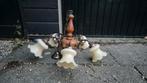 Antieke Houten Hanglamp met 5 Lampen, Antiek en Kunst, Antiek | Lampen, Ophalen