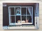 Slapende poes achter het raam op nr. 15, Ophalen of Verzenden, 1980 tot heden, Ongelopen, Hond of Kat