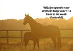 Paarden uitmest hulp gezocht 1-2 keer in de week, Dieren en Toebehoren, Stalling en Weidegang