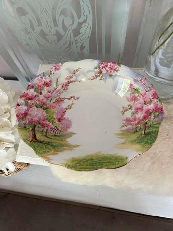 Royal Albert Blossomtime ovale schaal izgst beschikbaar voor biedingen