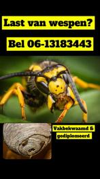 Wespennest bestrijder Helmond en omstreken!, Tuin en Terras, Bestrijdingsmiddelen, Ophalen, Ongediertebestrijding