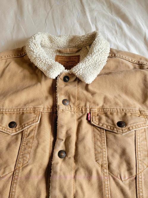 Fantastische, originele, NIEUWE Levi's Teddy jeans jas, XXL, Kleding | Heren, Jassen | Zomer, Nieuw, Overige maten, Beige, Ophalen of Verzenden