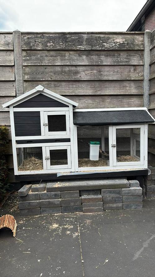 Konijnenhuis, Dieren en Toebehoren, Knaagdieren en Konijnen | Hokken en Kooien, Gebruikt, Hok, 60 tot 90 cm, 110 cm of meer, Cavia