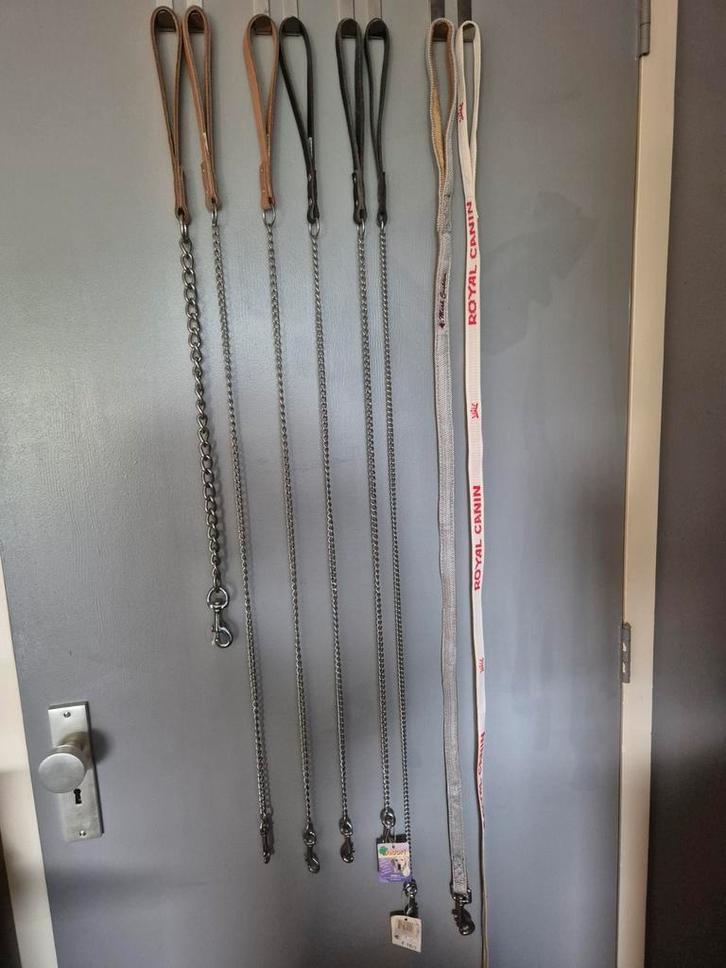Hondenriemen/ketting, Dieren en Toebehoren, Honden-accessoires, Ophalen