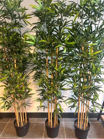 Ikea Fejka kunst plan bamboo groot beschikbaar voor biedingen
