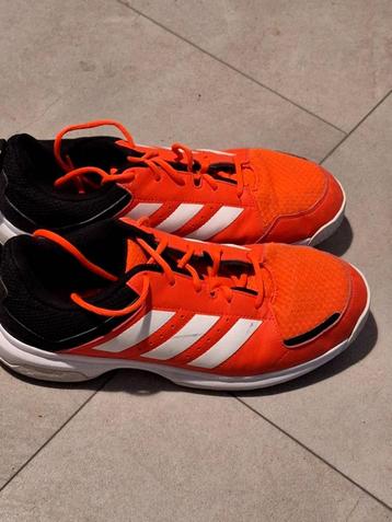 Zaalvoetbalschoenen beschikbaar voor biedingen