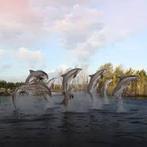 Entree Ticket dolfinarium, Tickets en Kaartjes, Eén persoon