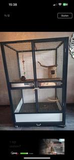 Papegaaien kooi, Ophalen of Verzenden, Zo goed als nieuw, Metaal, Vogelkooi