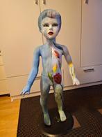 Paspop kind, Verzamelen, Ophalen of Verzenden, Gebruikt, Pop