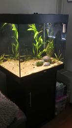 Aquarium Juwel Lido 200 zwart met Eheim buitenfilter, Dieren en Toebehoren, Ophalen, Gebruikt, Leeg aquarium