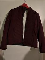 Segura Dames Motorjas met Backprotector - Zo goed als nieuw, Jas | textiel, Verzenden, Nieuw zonder kaartje, Segura