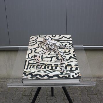 Annie Leibovitz Limited Edition Keith Haring | Taschen beschikbaar voor biedingen