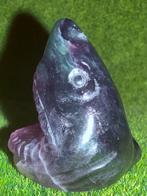 Regenboog Fluoriet Haai - Handgesneden Uniek Stuk, Antiek en Kunst, Ophalen of Verzenden