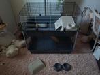 Mooie stevige dubbele etage cavia kooi met spullen erbij, Dieren en Toebehoren, Ophalen, Gebruikt, 90 cm of meer, Hok