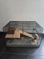 Te koop Hamsterkooi, Dieren en Toebehoren, Minder dan 60 cm, Kooi, Minder dan 75 cm, Ophalen of Verzenden