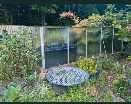 Groot glazen windscherm kas kassen zwaar ijzeren constructie, Tuin en Terras, Kassen, Zo goed als nieuw, Muurkas, Staal, Glas
