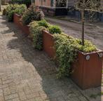 Mooie Corten stalen bloembakken, Ophalen, 100 cm of meer, Nieuw, Metaal