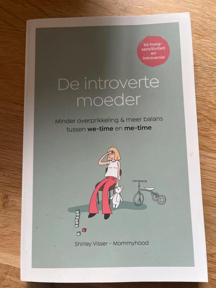 De Introverte Moeder - Perfecte Staat!, Boeken, Zwangerschap en Opvoeding, Zo goed als nieuw, Zwangerschap en Bevalling, Ophalen of Verzenden