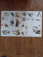 Natuurblad - Libelle nr.42 - 1987, Ophalen of Verzenden, Gebruikt