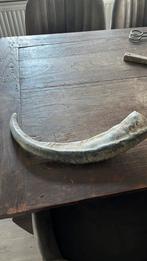 Hoorn, Antiek en Kunst, Curiosa en Brocante, Ophalen