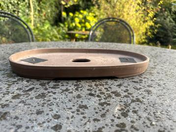 Hele lage bonsaischaal mat donkerbruin geglazuurd beschikbaar voor biedingen