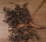 Meerdere Dadeltakken - Decoratie 40 50 60 cm, Huis en Inrichting, Ophalen of Verzenden