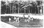 938277	Echten	Drenthe	1969 Zwembad	Vakantieoord Westerbergen