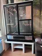 Grote rvs vogelkooi Papegaai, plexiglas . Haarlem, Ophalen, Zo goed als nieuw, Overige materialen, Vogelkooi