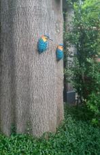 IJSVOGEL - THE BEAUTY - FARMWOOD, Ophalen of Verzenden, Nieuw