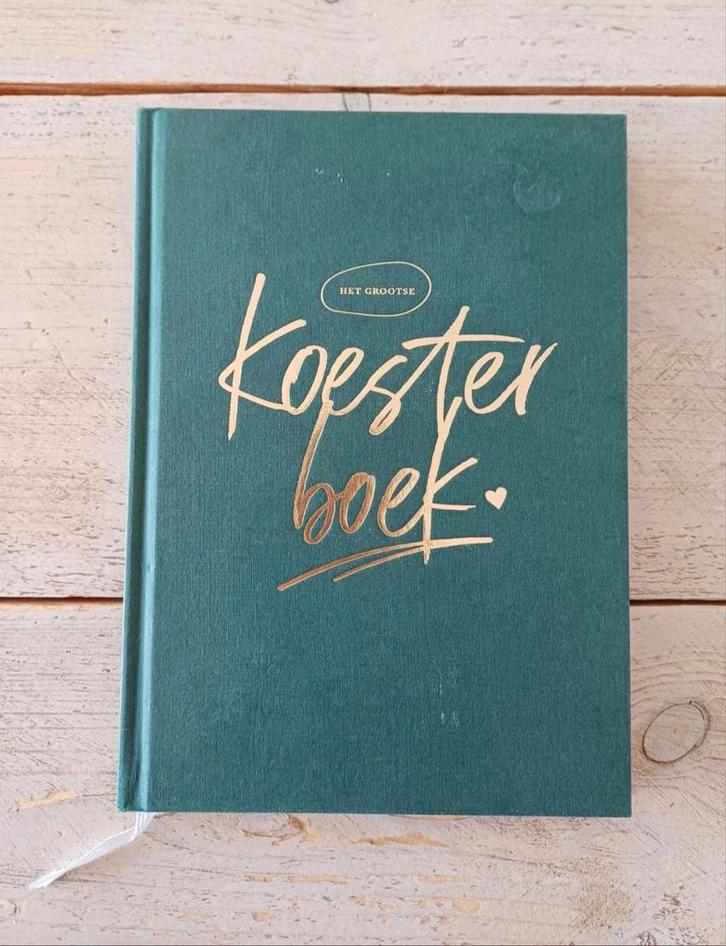 Daniëlle Koudijs - Het grootse koesterboek, Boeken, Esoterie en Spiritualiteit, Zo goed als nieuw, Achtergrond en Informatie, Ophalen of Verzenden