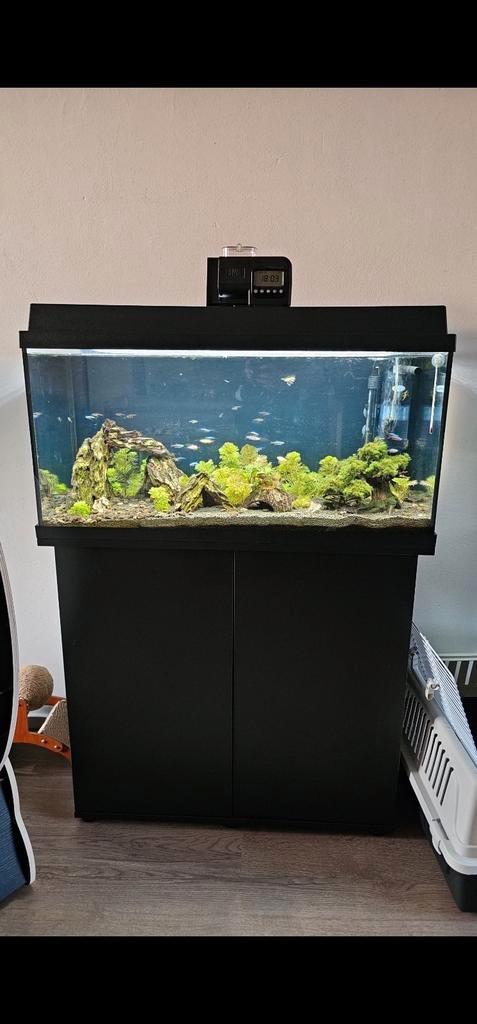 Aquarium met kast conpleet, Dieren en Toebehoren, Vissen | Aquaria en Toebehoren, Zo goed als nieuw, Leeg aquarium, Ophalen