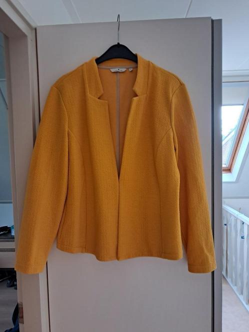 vest/jasje voor dames, Kleding | Dames, Truien en Vesten, Nieuw, Maat 46/48 (XL) of groter, Geel, Verzenden