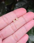 Citrien Oorknoppen Liora - Echt Zilver