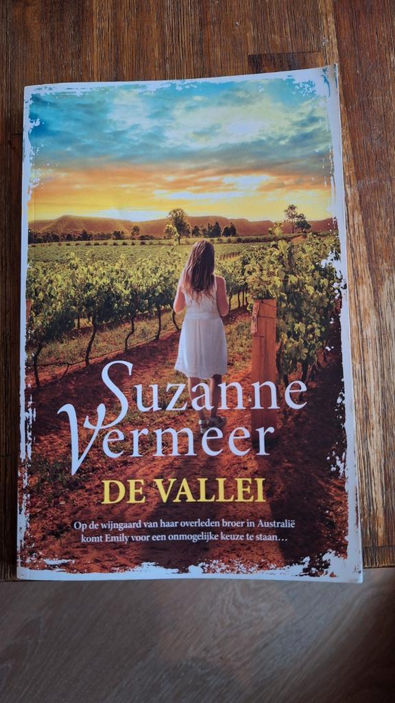 Suzanne Vermeer - De Vallei, Boeken, Romans, Gelezen, Nederland, Ophalen of Verzenden