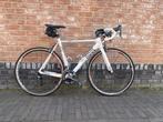 Rose, Xeon CSL maat 54, inclusief Garmin, Gebruikt, Carbon, Meer dan 20 versnellingen, 53 tot 57 cm
