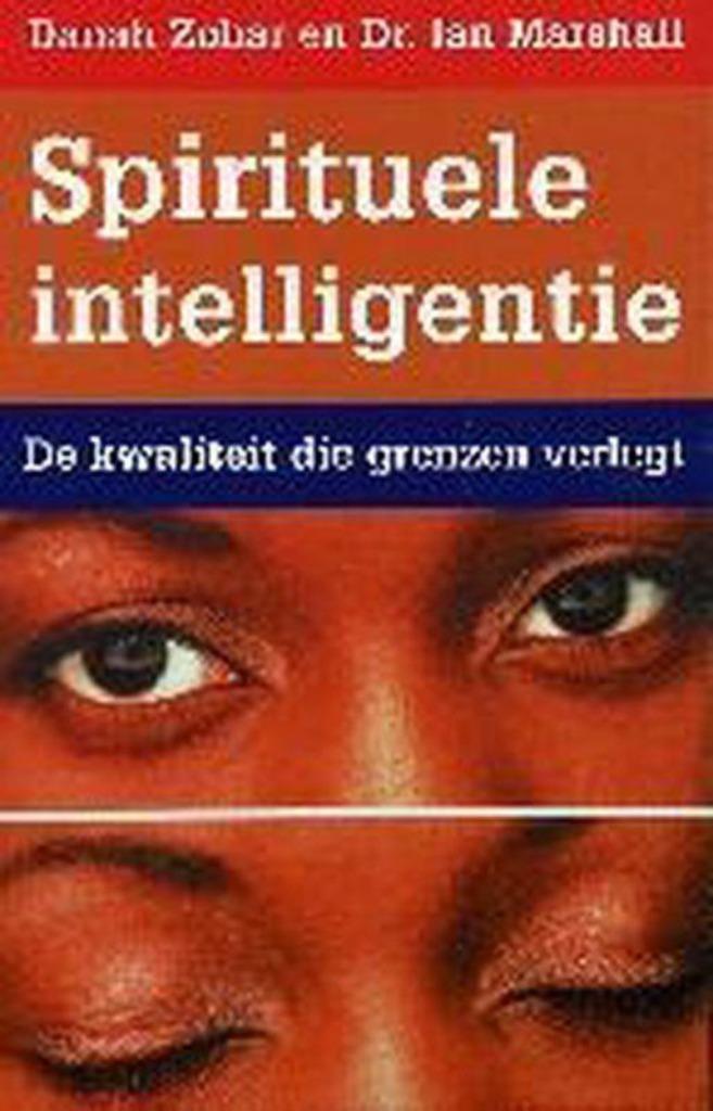 Danah Zohar Spirituele Intelligentie, Boeken, Esoterie en Spiritualiteit, Zo goed als nieuw, Achtergrond en Informatie, Spiritualiteit algemeen