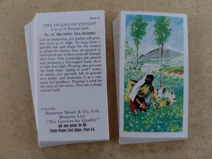 The Island of Ceylon complete set 24 tea cards Seymour Mead, Verzamelen, Overige Verzamelen, Gebruikt, Ophalen