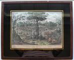 ingekleurde ets, Antiek en Kunst, Ophalen of Verzenden