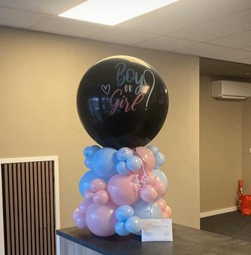 Gender reveal ballon beschikbaar voor biedingen