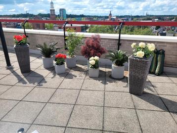 UV bestendige kunstplanten. beschikbaar voor biedingen